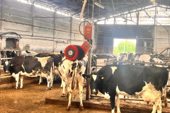 3b30c406-f1a1-4224-aa8f-6bae742b017d