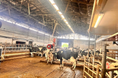 5ac31311-2c31-4475-b507-f3ffc9d9af14