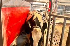 6a8eef32-2c7e-41c9-9958-3f0e6bc4fa42