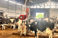 992d680a-d480-41f5-8585-f8459c54fbb9