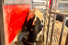 a9bdee28-96f9-4173-b1a6-635a7e1f086f