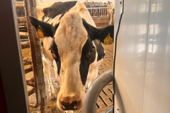 e4181f74-9035-4cc3-bcc0-d774611b9df1